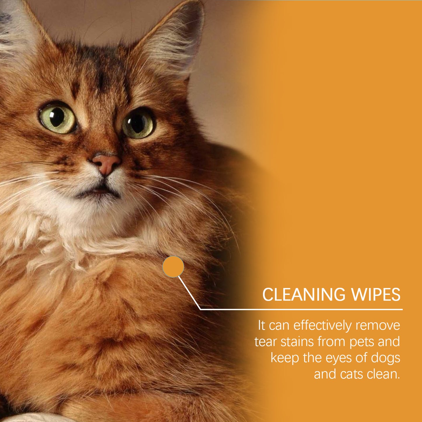 Pet Eye Wipes Are Soft And Skin Friendly, Cleaning Tear Stains